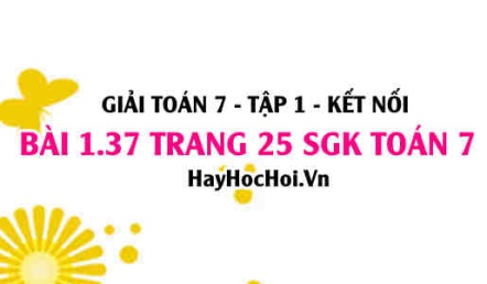 Giải bài 1.37 trang 25 Toán 7 Tập 1 SGK Kết nối tri thức